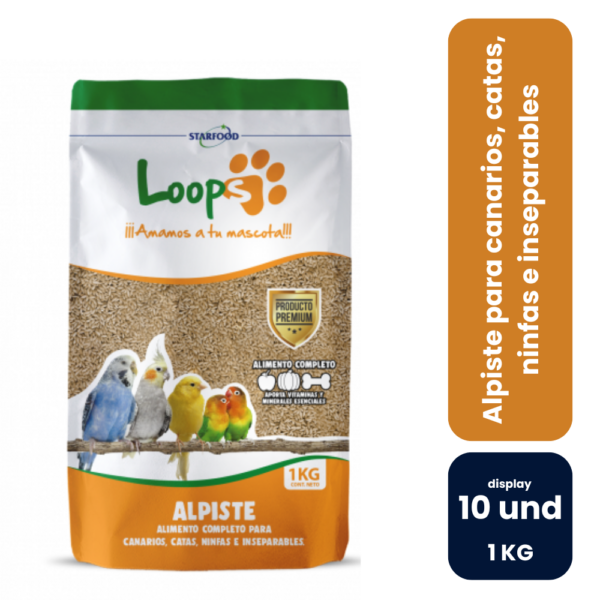 LOOPS WEB (1)