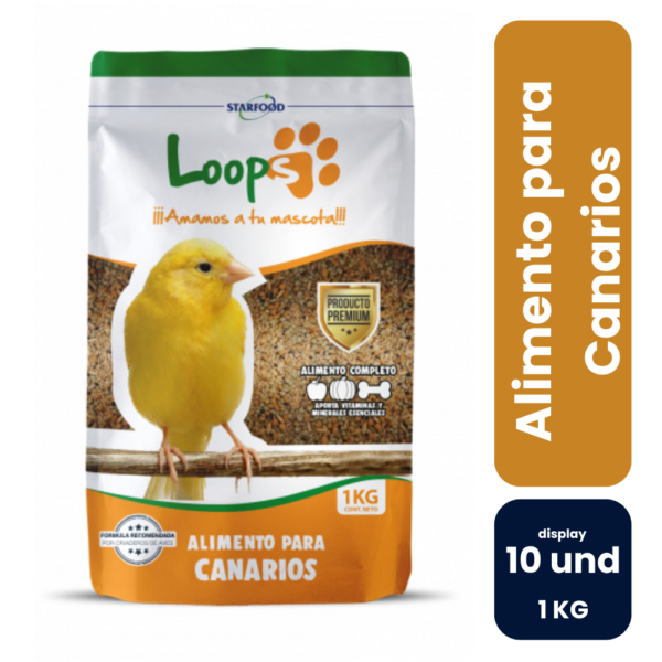 LOOPS WEB