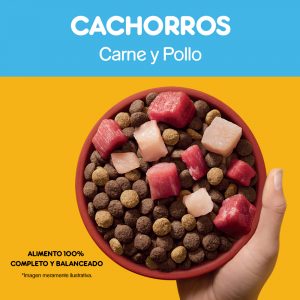 Pedigree Cachorro Sabor Carne y Pollo - Imagen 5