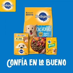 Pedigree Cachorro Sabor Carne y Pollo - Imagen 7