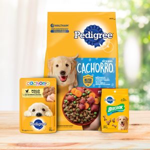 Pedigree Cachorro Sabor Carne y Pollo - Imagen 8