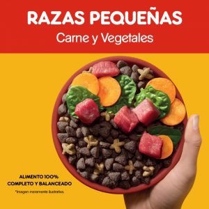 Pedigree Adulto Razas Pequeñas Sabor Carne y Vegetales - Imagen 4