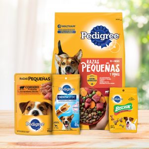 Pedigree Adulto Razas Pequeñas Sabor Carne y Vegetales - Imagen 8