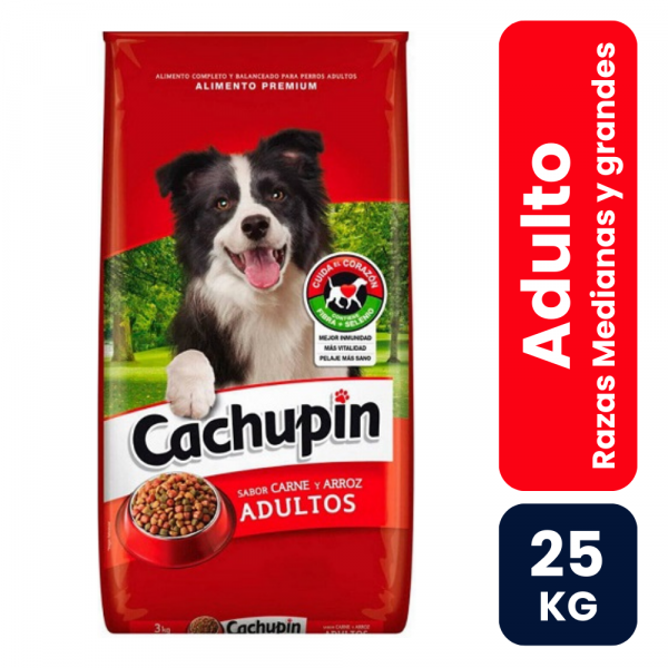 Cachupin web