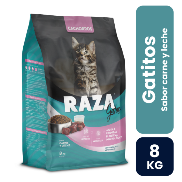 raza gatitos 8kg
