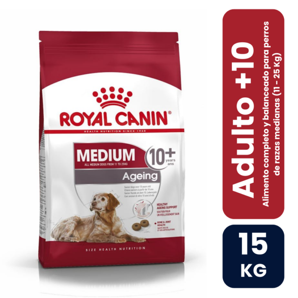 Adulto medium 10+ 15
