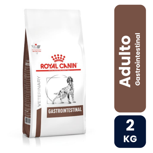Gastrointestinal dog 2