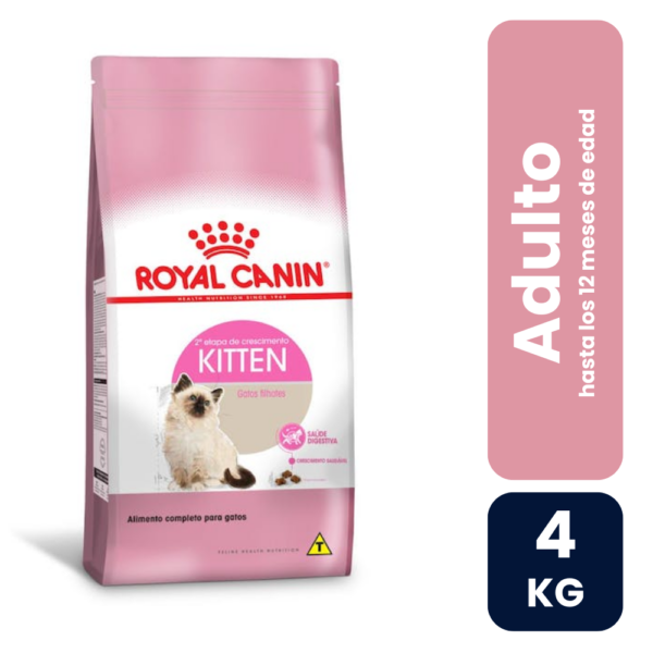 Kitten 4kg
