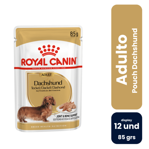 Pouch Dachshund