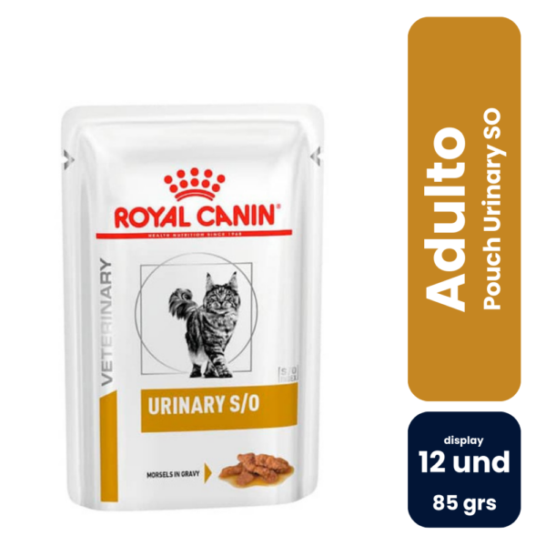 Pouch Urinary SO