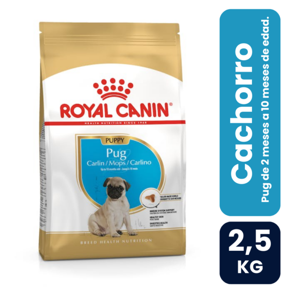 Royal Canin Pug Junior 2.5kg
