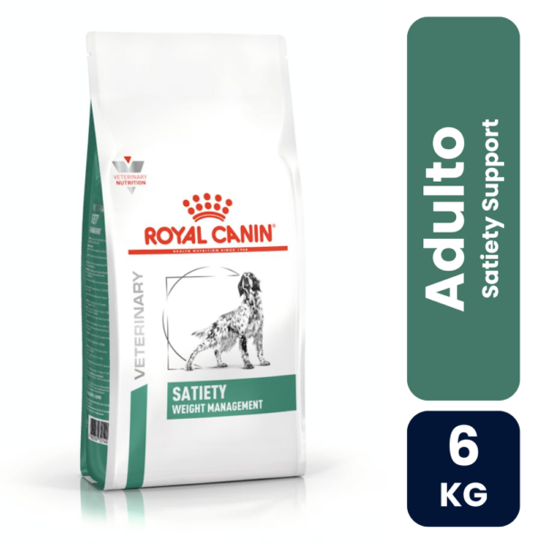 Satiety Support 6