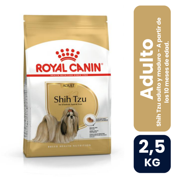 Shih Tzu