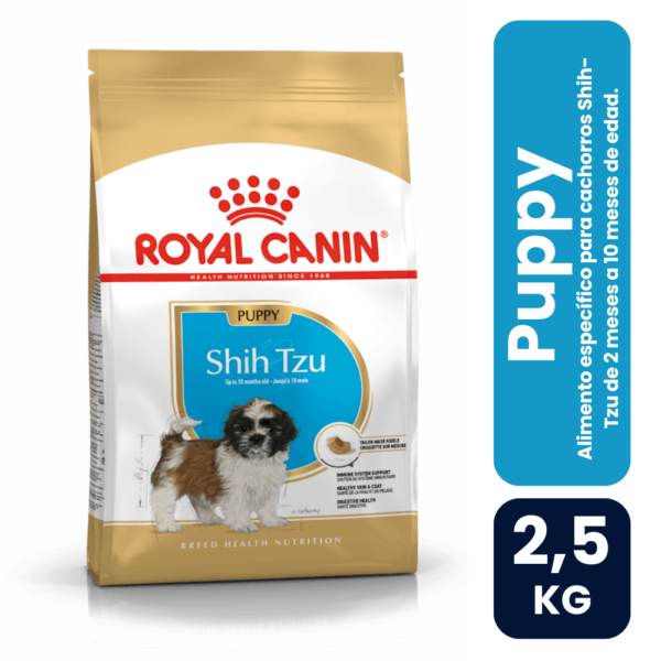 Shih Tzu puupy