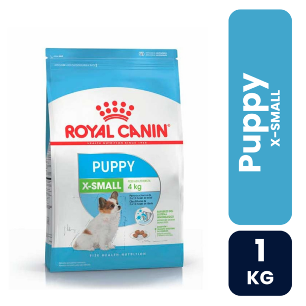 X-SMALL puppy 1