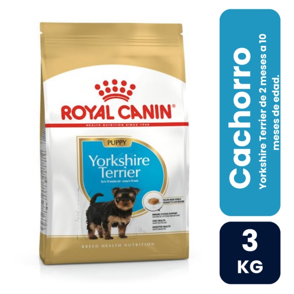 Yorkshire Terrier 3kf