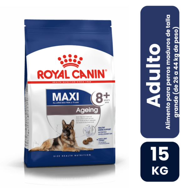 maxi adulto 8+ 15kh