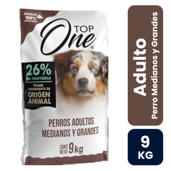 adulto 9 top one