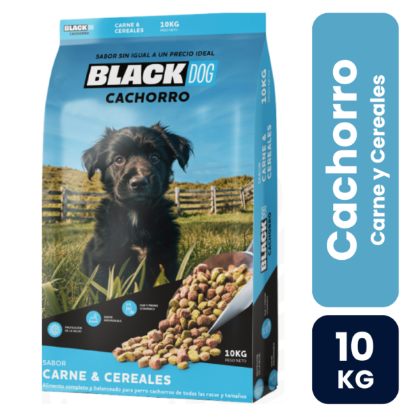 black dog 10kg