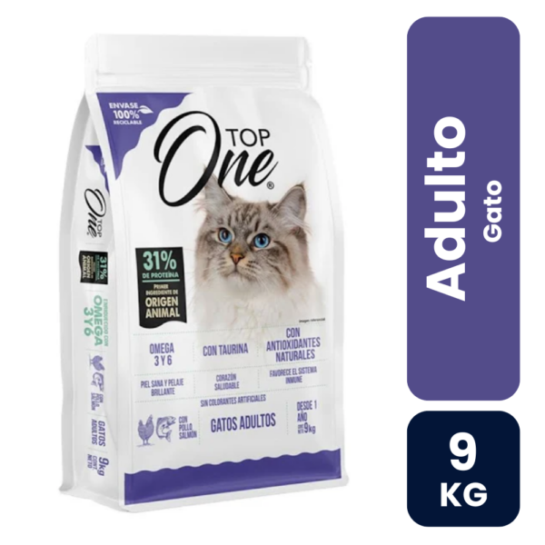 gato top one