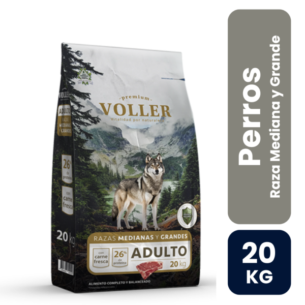 voller web